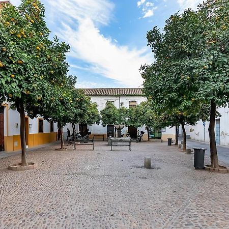 Bhost - Regina IV Apartment Cordoba Exterior photo