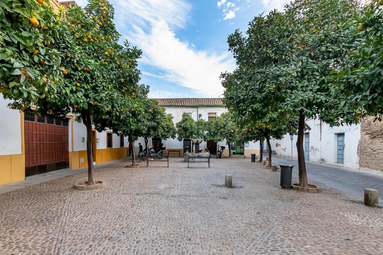 Bhost - Regina IV Apartment Cordoba Exterior photo